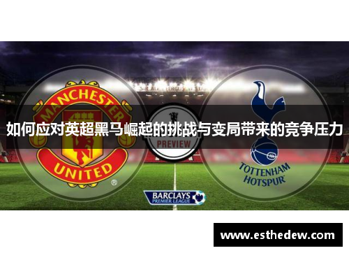 如何应对英超黑马崛起的挑战与变局带来的竞争压力