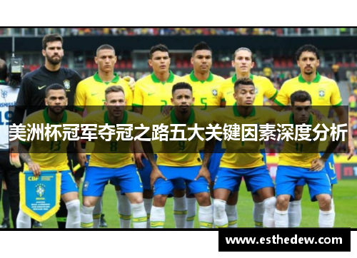 美洲杯冠军夺冠之路五大关键因素深度分析