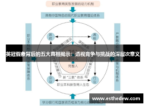 英冠假象背后的五大真相揭示：透视竞争与挑战的深层次意义