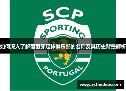 如何深入了解葡萄牙足球俱乐部的名称及其历史背景解析
