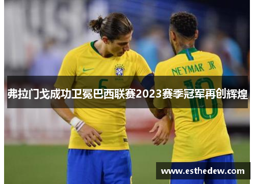 弗拉门戈成功卫冕巴西联赛2023赛季冠军再创辉煌